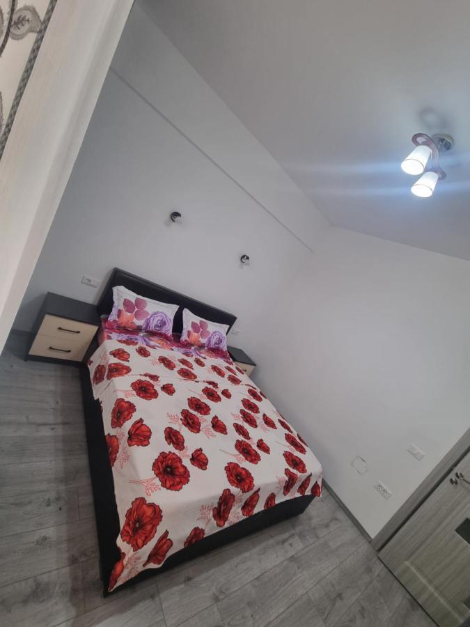 Apartament Mihaela รึมนิคูวัลเจีย ภายนอก รูปภาพ